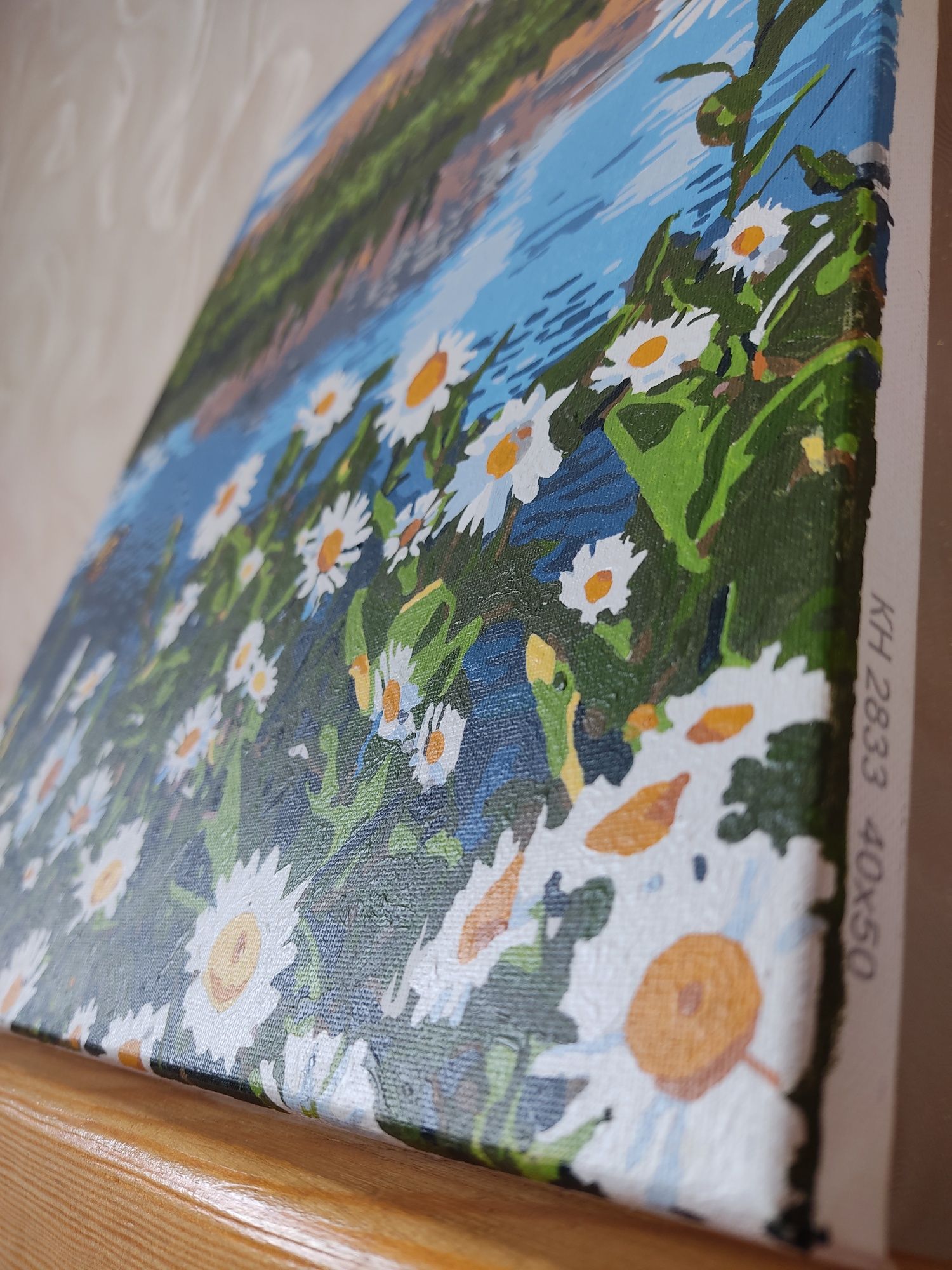 Картина по номерам, розмальована 40×50