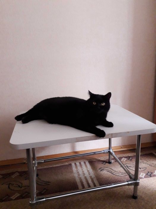 Столик кавовий на металевих ніжках