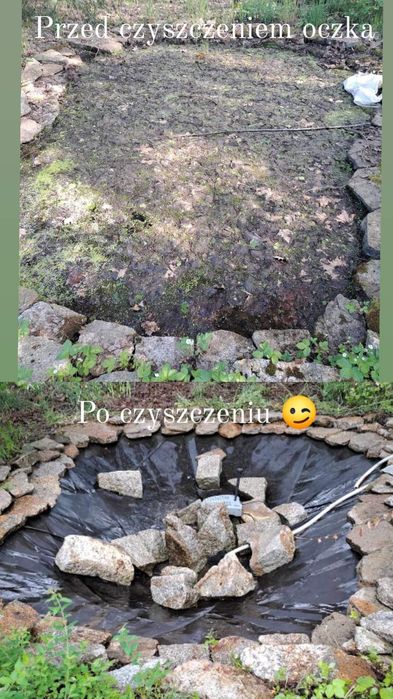 Czyszczenie działek,koszenie, wycinka itp