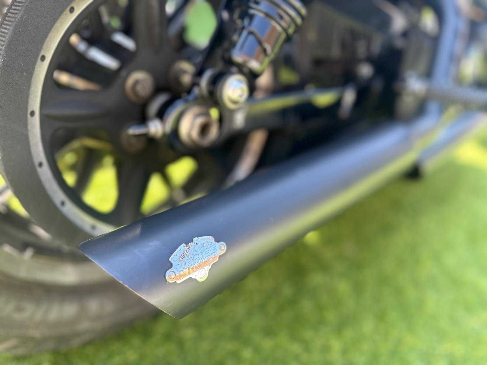Harley-Davidson XL 883N Iron