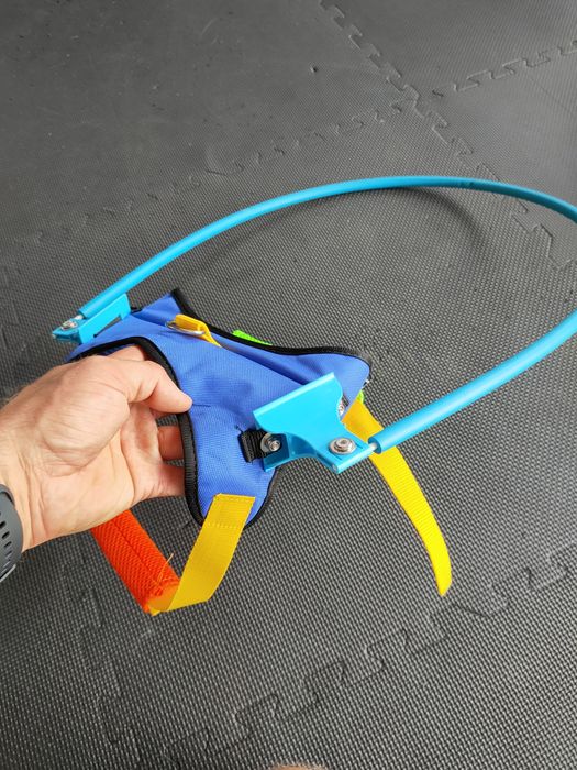 Obroża ochrona niewidomy niewidomego psa