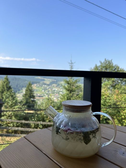 Відпочинок у Карпатах. Котедж "Під лісом".