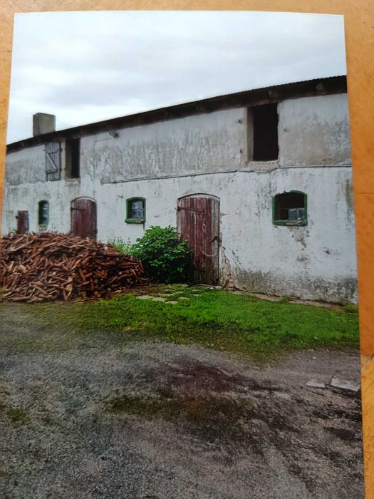 Sprzedam dom i mieszkanie na działce siedliskowej - 0.5 ha.