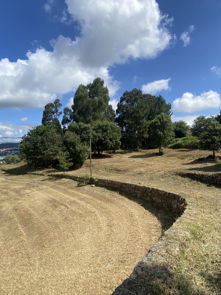 Limpeza de terrenos agrícolas, florestais e lotes