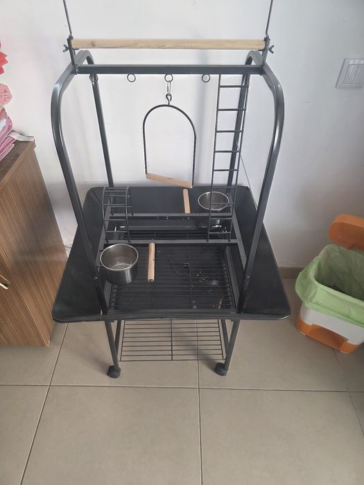 Poleiro arara, papagaio, aves exóticas