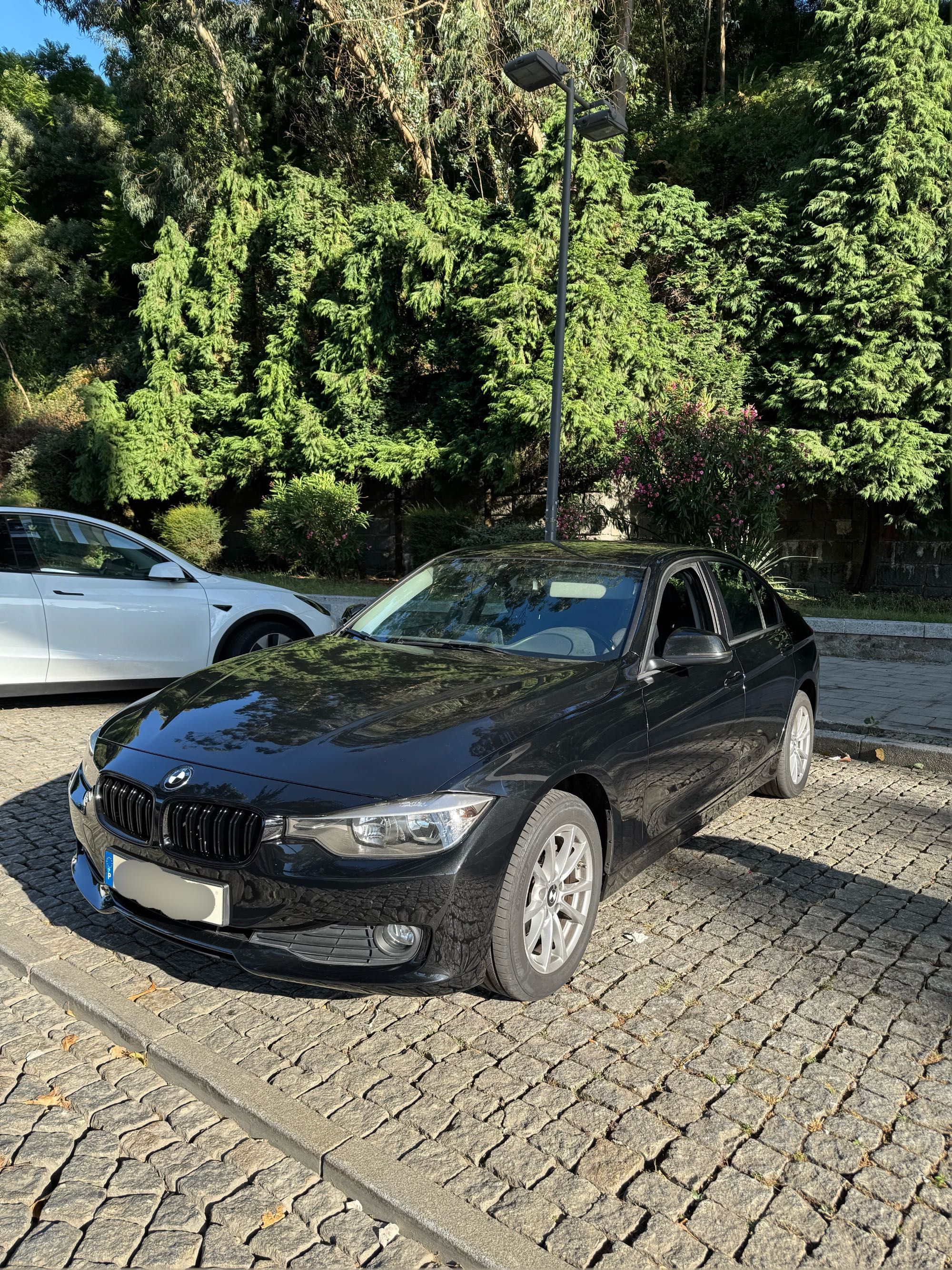 BMW Série 3 316d F30 2014