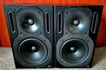 Behringer TRUTH MODEL B2031P