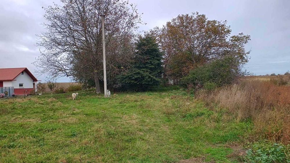 Продам будинок з земельною ділянкою  в Симоніві, можливо під комерцію.