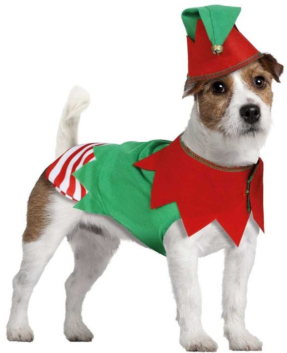 Świąteczne ubranko dla pieska Elf bez czapeczki roz. L obw. 69-85 cm