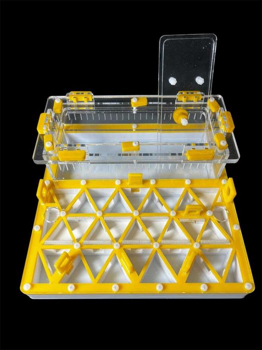 Профессиональная муравьиная ферма формикарий для муравьев в Украине