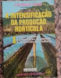 A intensificação da produção hortícola