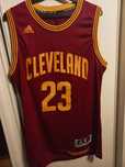 Jersey NBA LeBron James, opis!