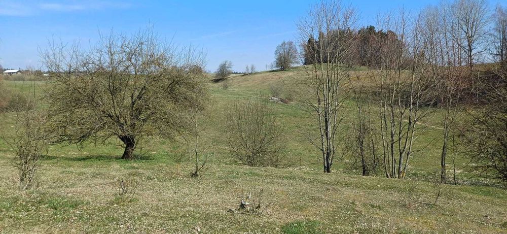 Działki - prywatność i przestrzeń.