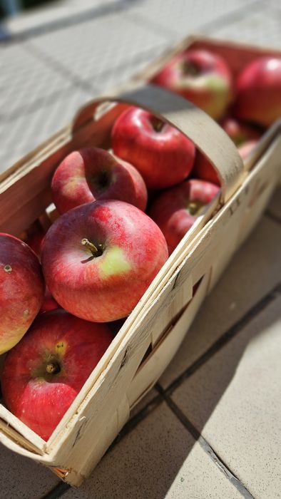 Ekologiczne jabłka nie pryskane