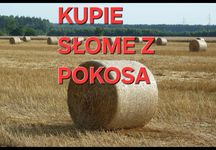 Słoma słome z pokosa