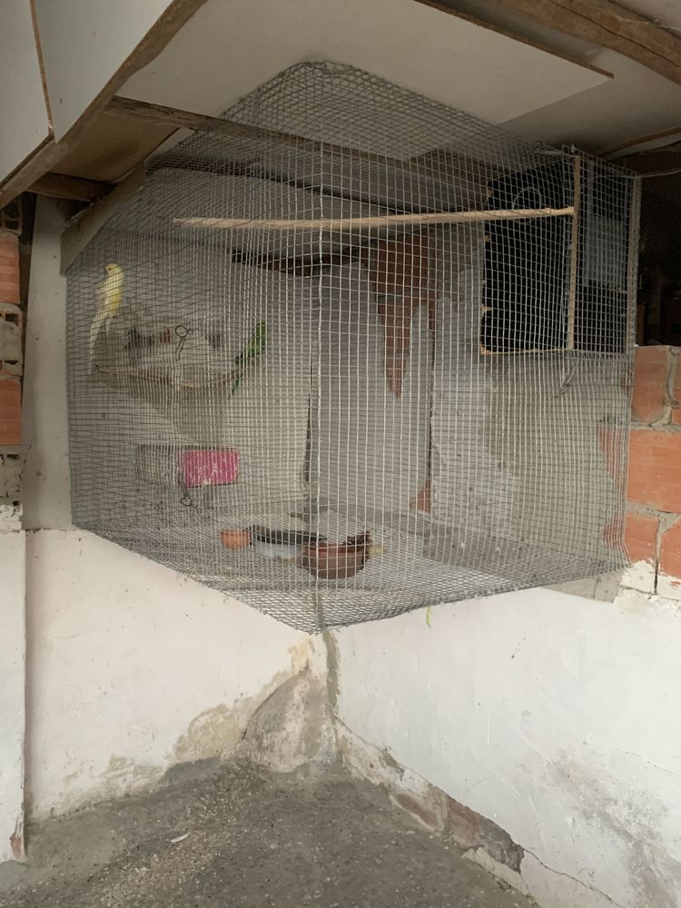 gaiola com ninho para aves rede galvanizada