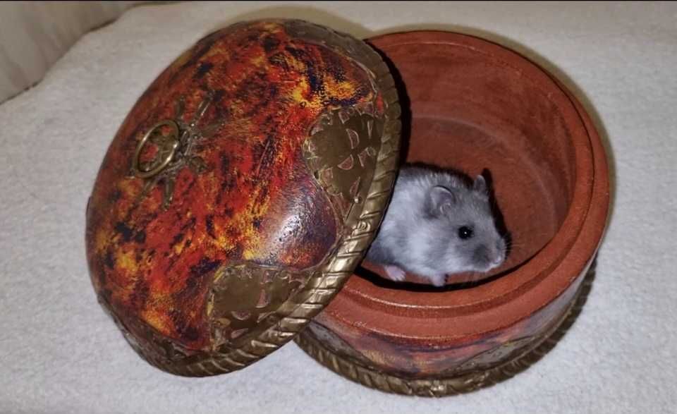 Винтажная старовинная шкатулка для ювелирных изделий из латуни, дерева