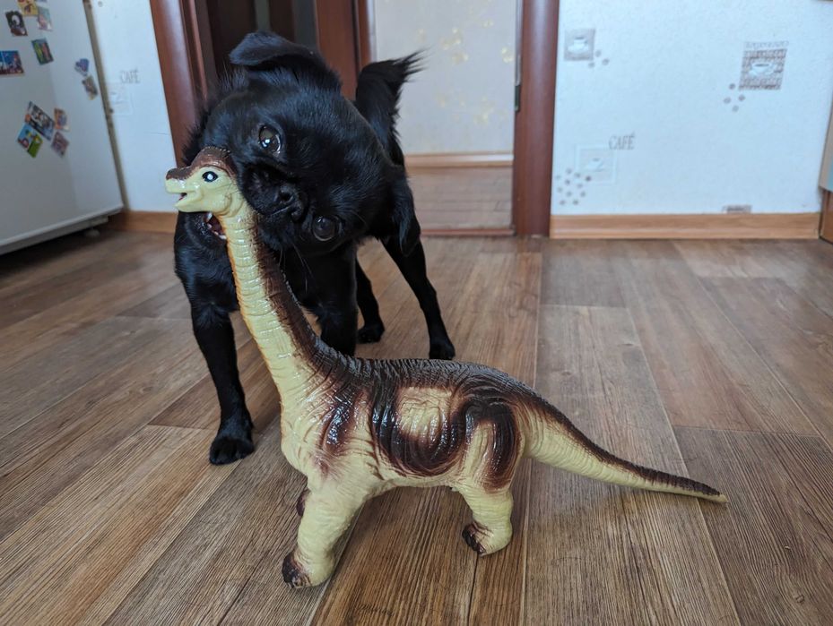 Динозавр, звук, 32-34 см