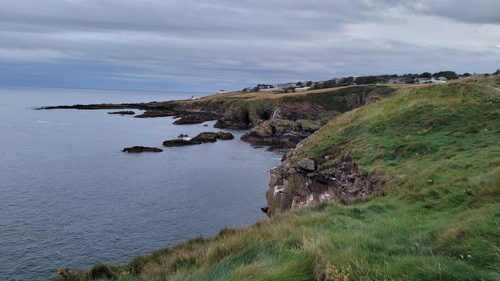 Logopeda i psycholog