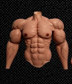 Tronco e Braços Mr Olympia Músculos Silicone Falsos
