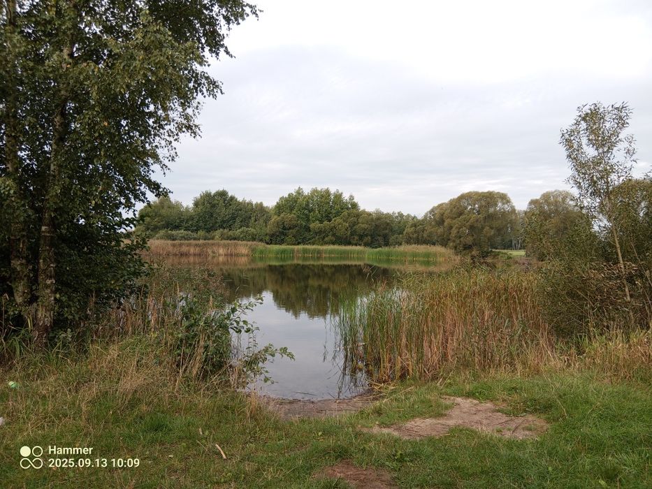 Działka 4h ze stawem