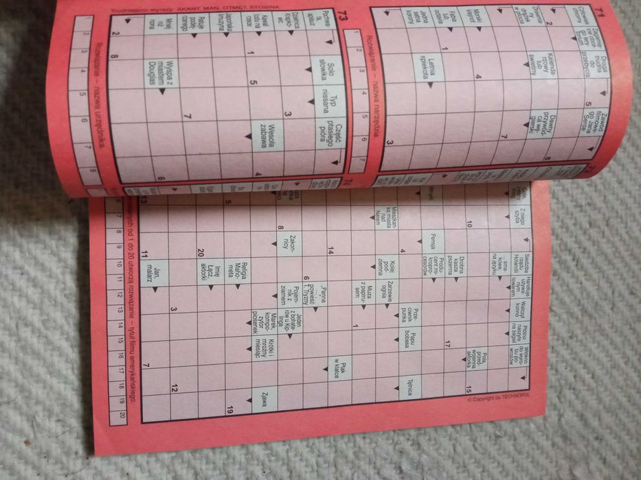 Krzyżówki z głową 300 panoramicznych 2004 nr 12 grudzień 2004