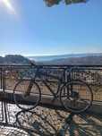 Bicicleta citadina / commuting