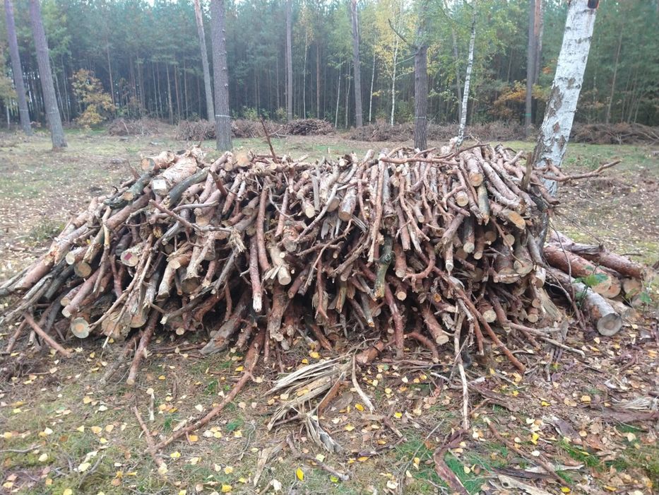 Posiadam na sprzedaż drewno opałowe