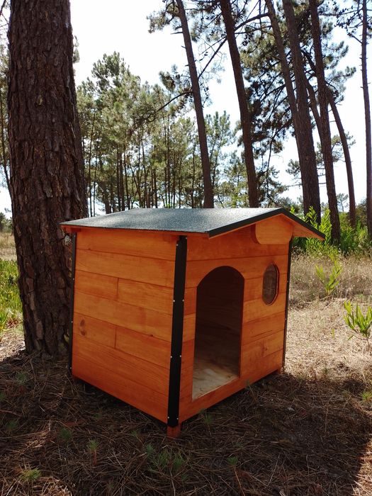 Casota para beagle