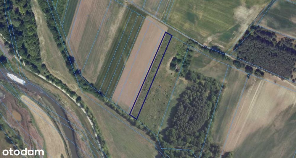 Działka rolna 30 arów – Szaszarowice, gmina Niechlów