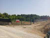 Quinta