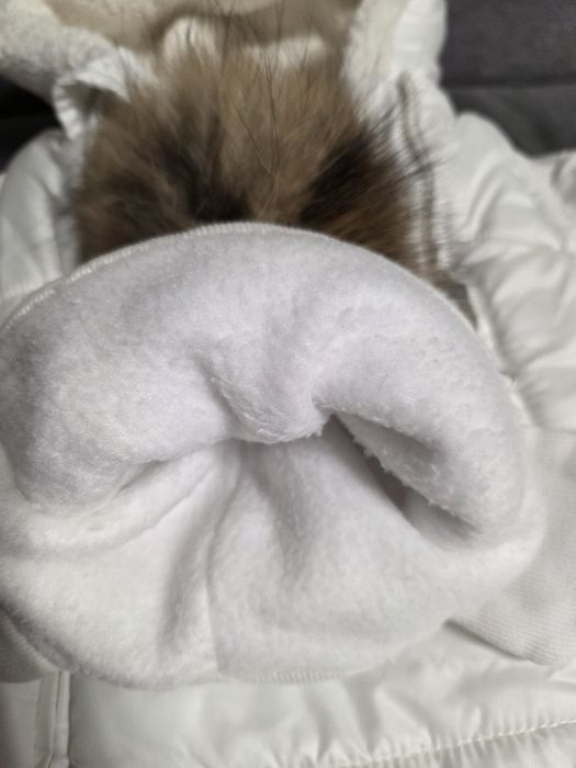 Зимовий комбінезон дитячий від Caramel