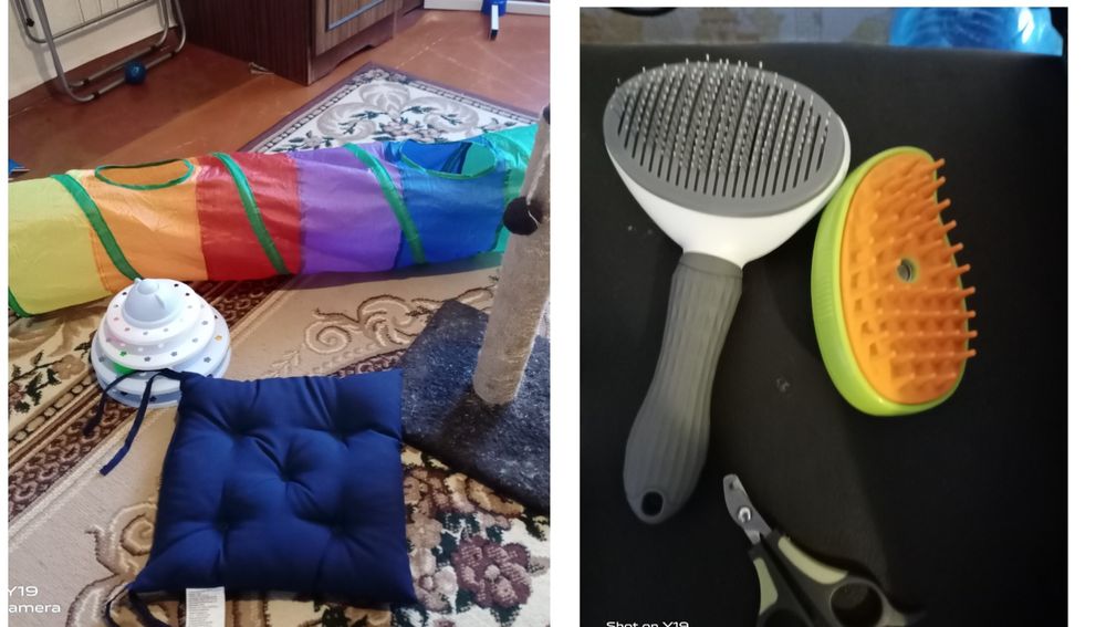 Когтеточка, игрушки,подушка, расчёски для кота
