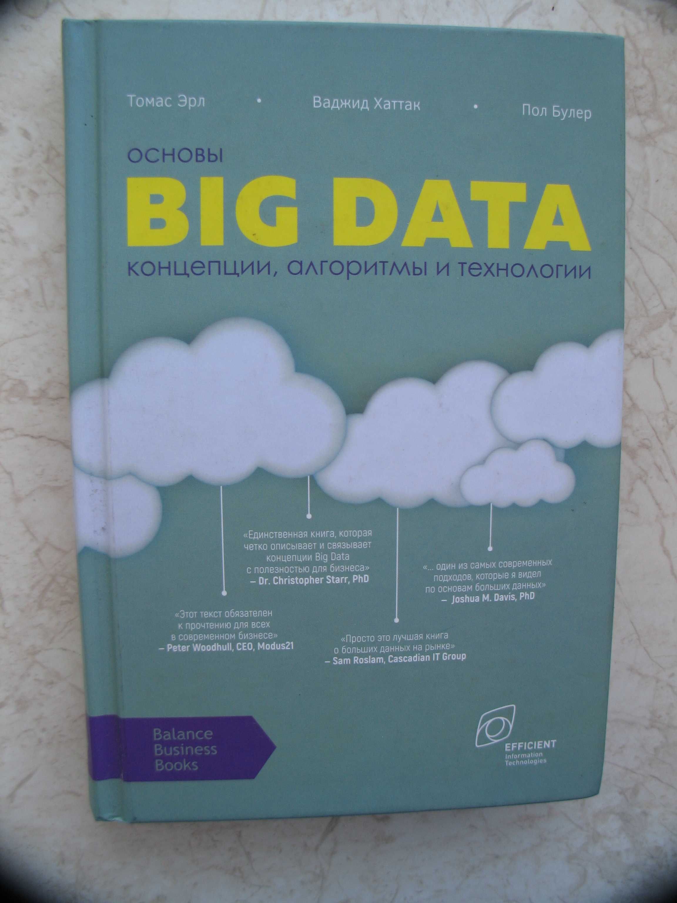 "Основы Big Data. Концепции, алгоритмы и технологии"  2018 год