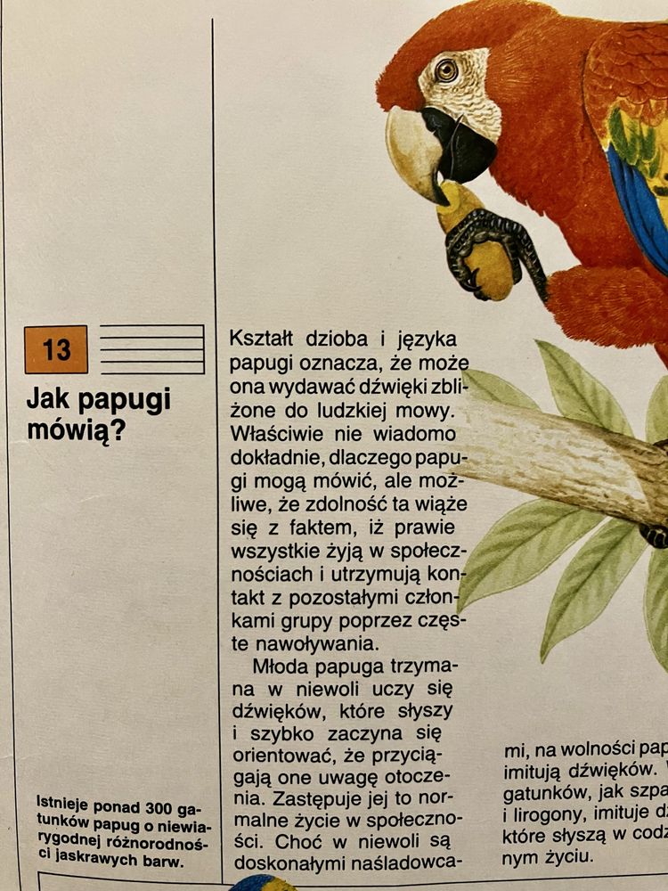 Czy zwierzęta mają sny?