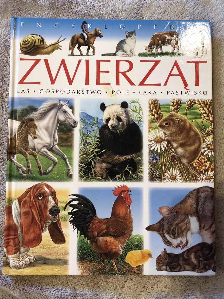 Encyklopedia zwierząt