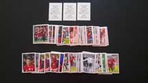 Cromos Panini Fome de Vencer 2018 (Continente)