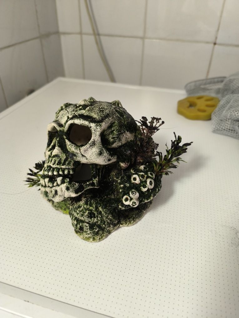 Decoração aquários