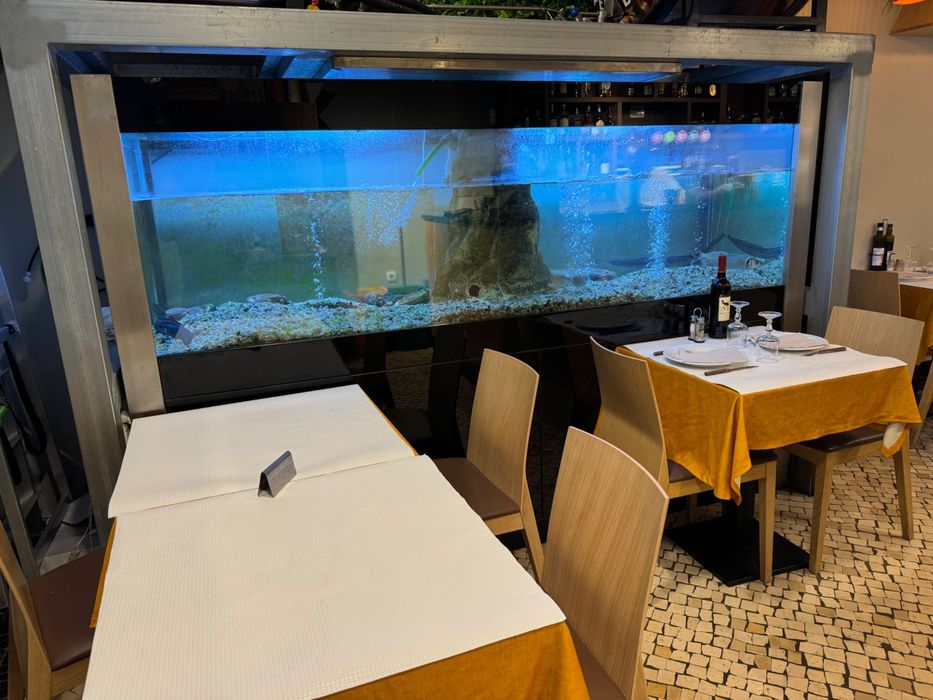 Aquário marisco água salgada