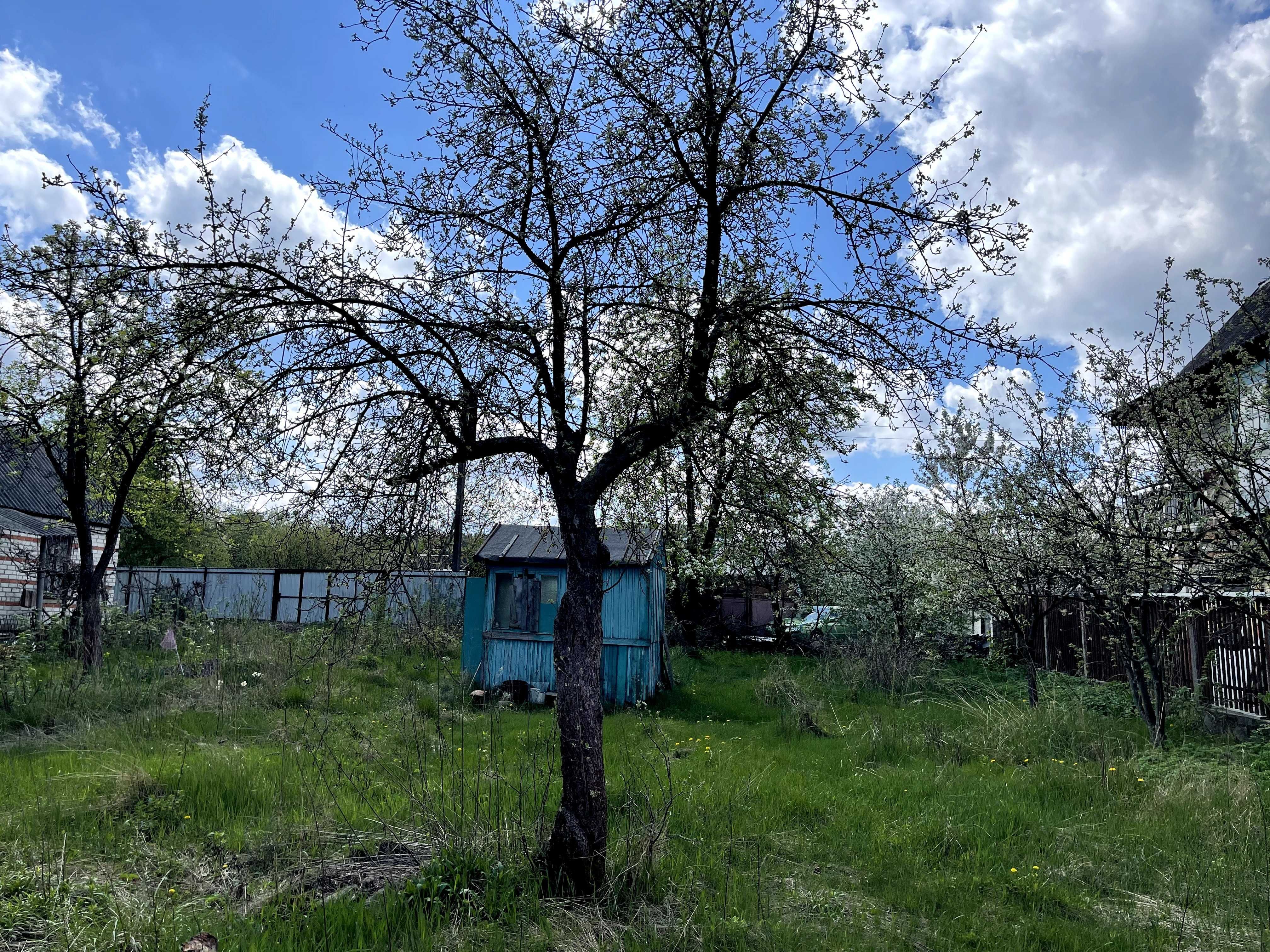 Ділянка з маленьким садовим будиночком.