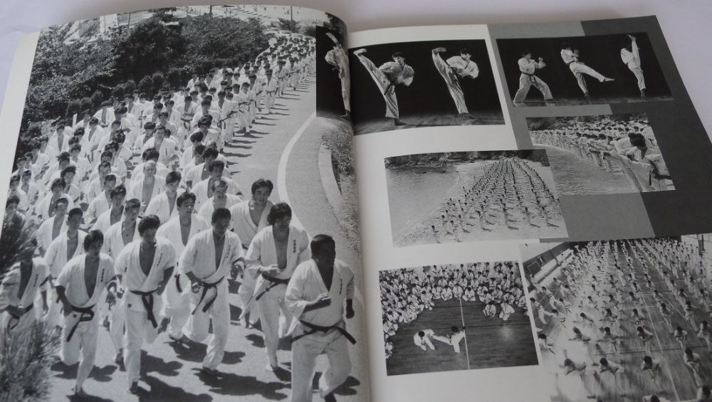 ASHIHARA,NINOMIYA - Figthing Karate I, II, Sabaki/Kyokushin,Oyama,Cook