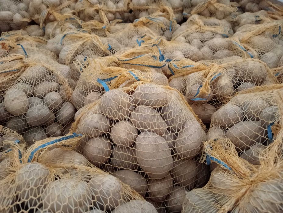 ziemniaki soraya jadalne żółte