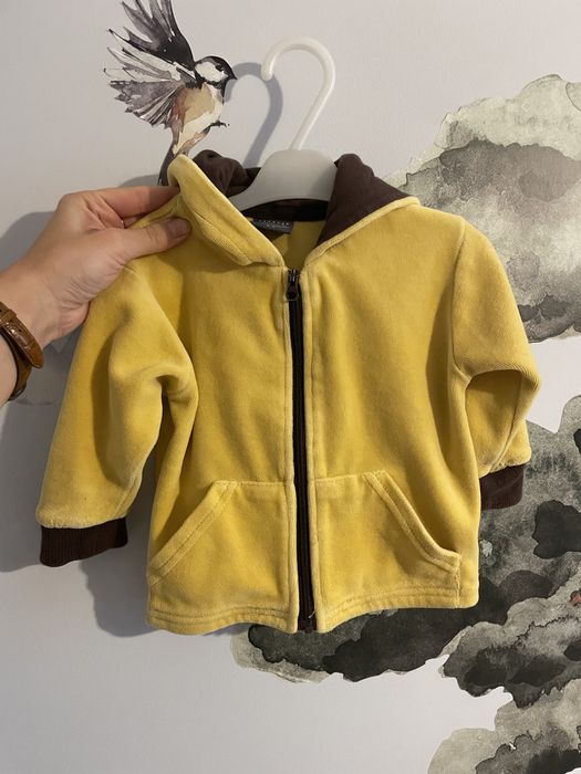 Bluza niemowlęca cocrodillo 68