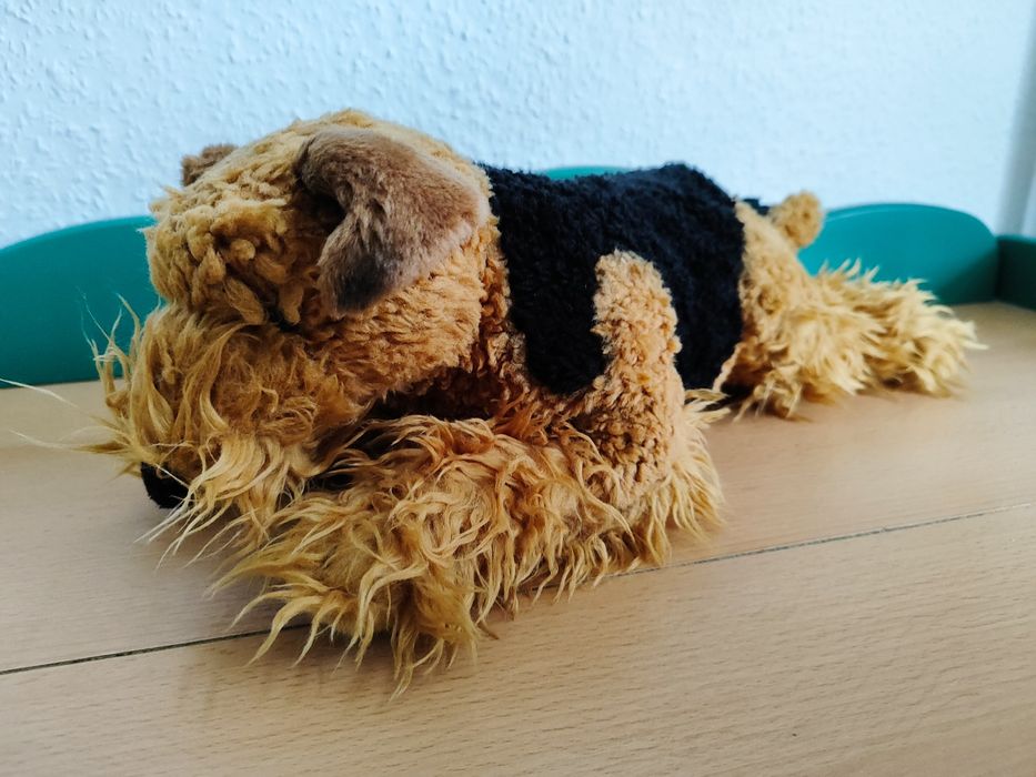 Piesek terrier walijski leżący pluszak maskotka zabawka przytulanka