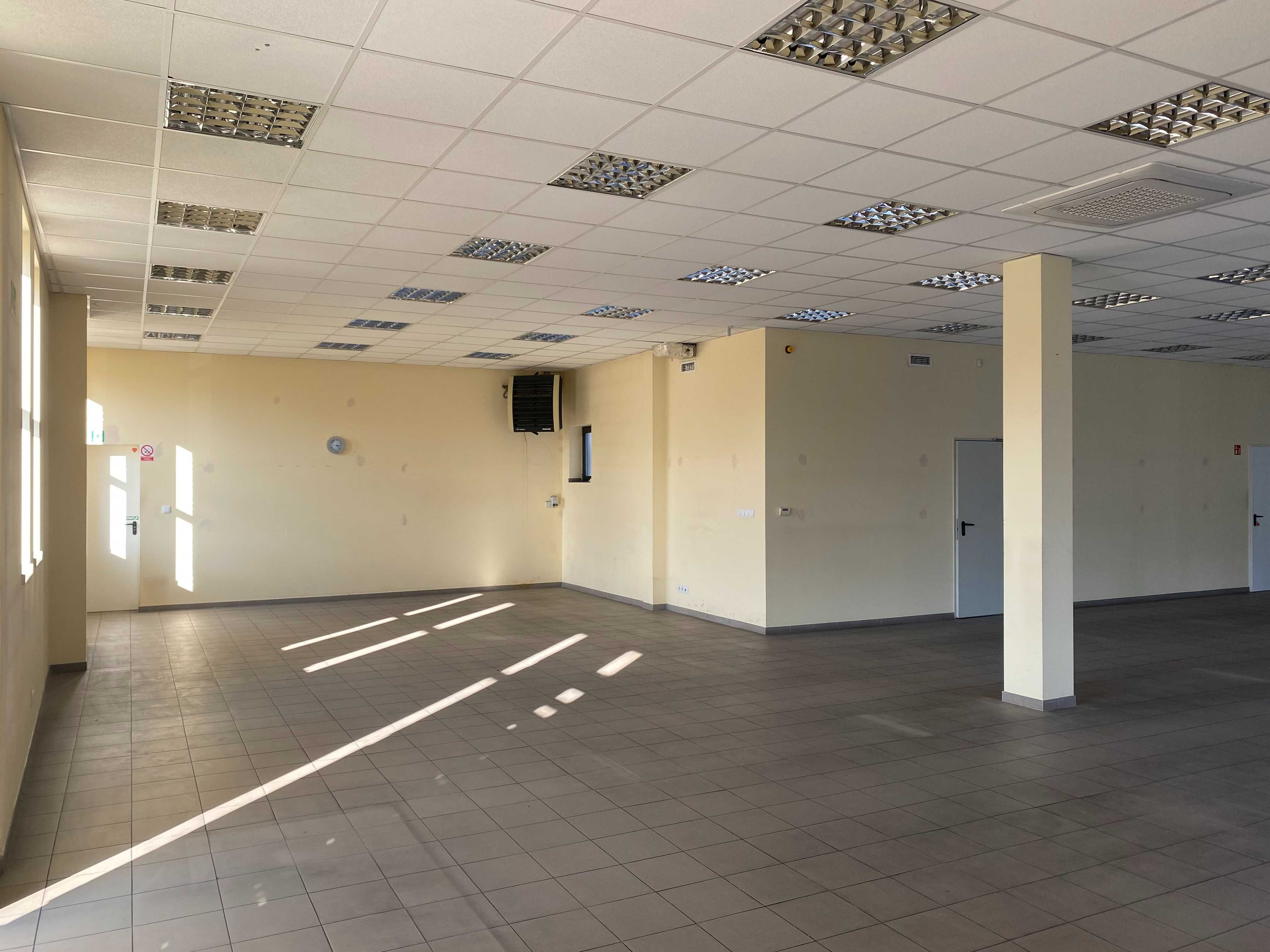 Lokal użytkowy 250m2 - Siemianowice Śląskie - bezpośrednio