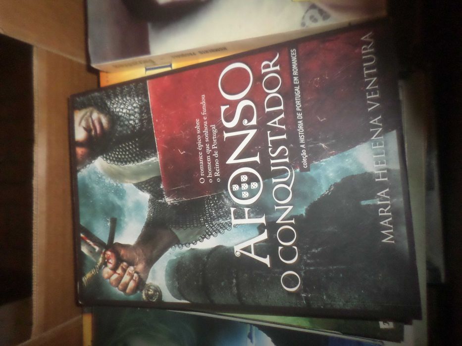 Afonso, O Conquistador de Maria Helena Ventura