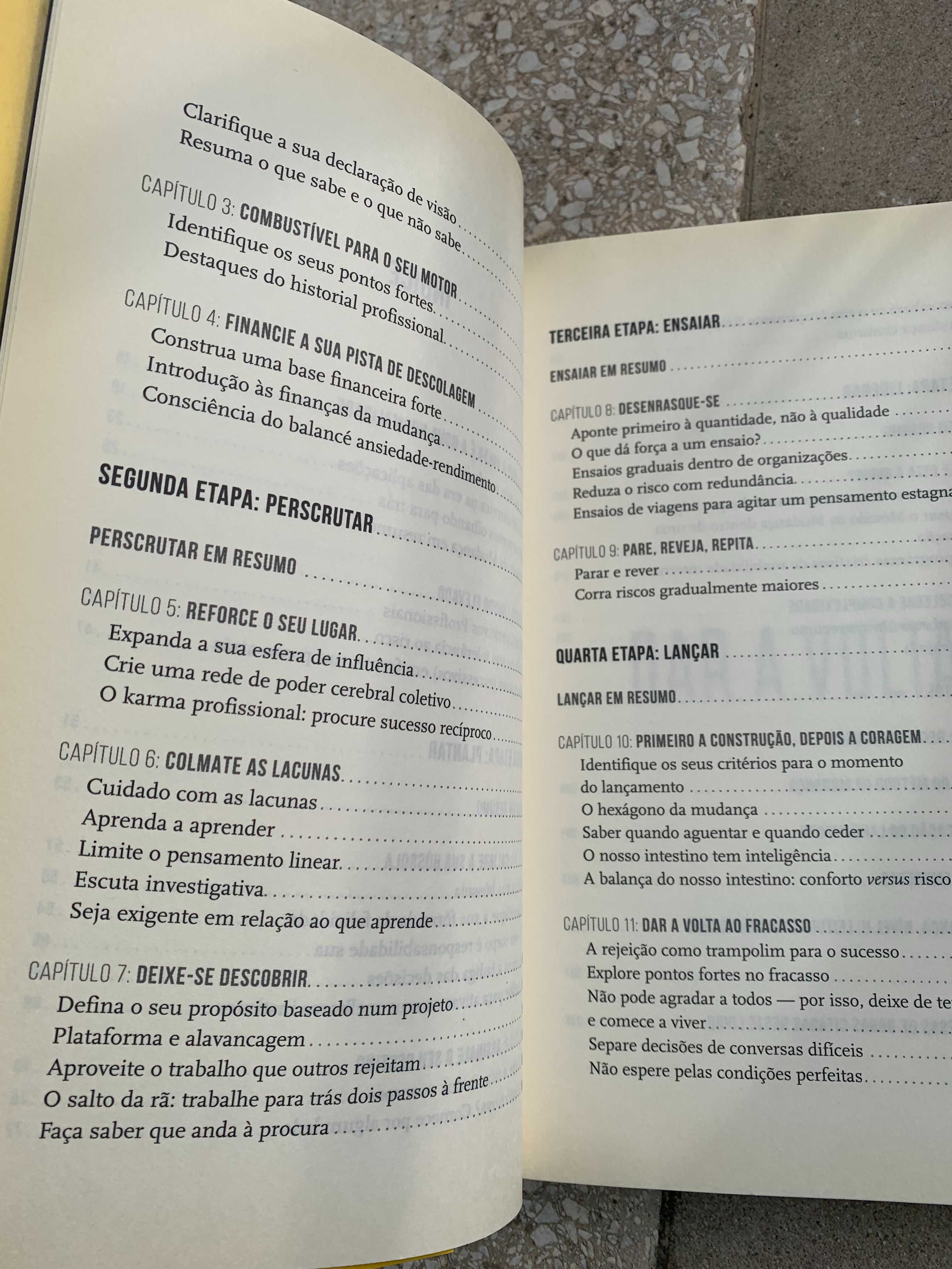 Livro Dar a Volta: A Felicidade Profissional tem uma Fórmula 1ª Edição