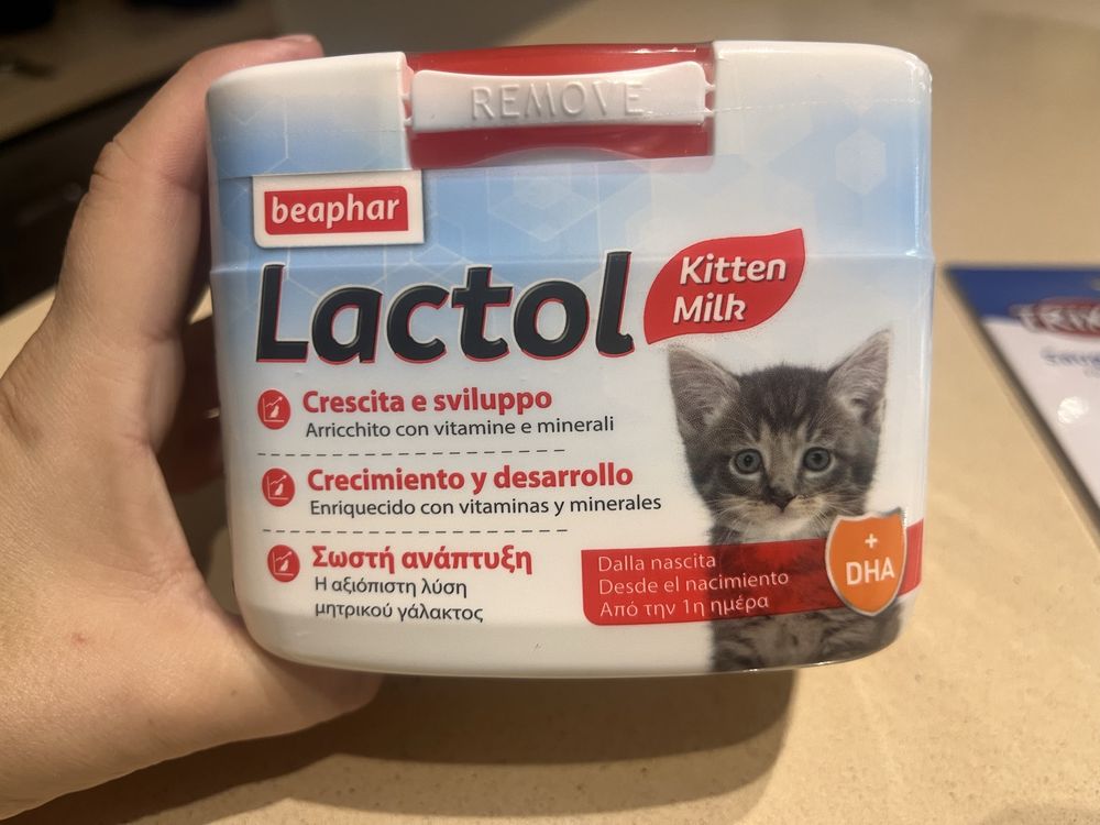 Lactol leite em pó gatinhos