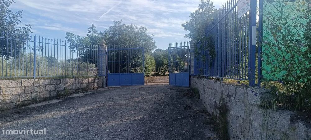 Excelente terreno em Santa Eulália Elvas