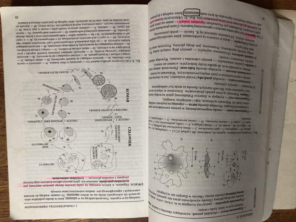 Biologia podręcznik do klasy 2 liceum Waldemar Lewiński OPERON